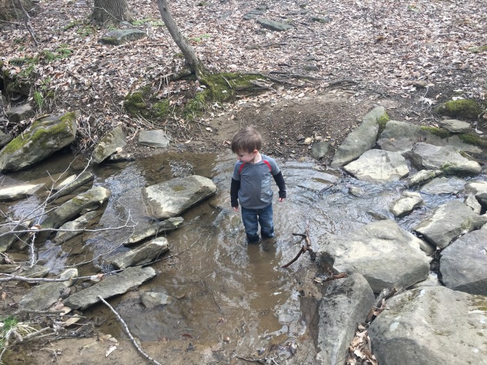 1A3CC5C8-C056-4DD9-B5B6-DD4764698995