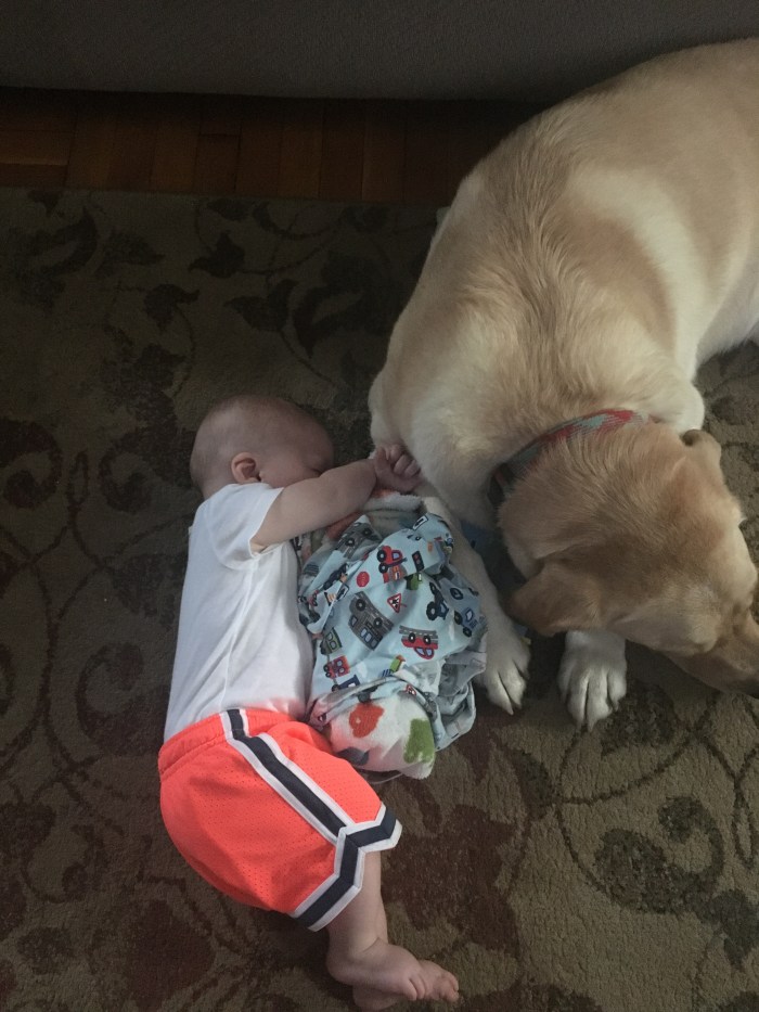 99C768F7-A730-45B4-B3AC-6BE418669F1E