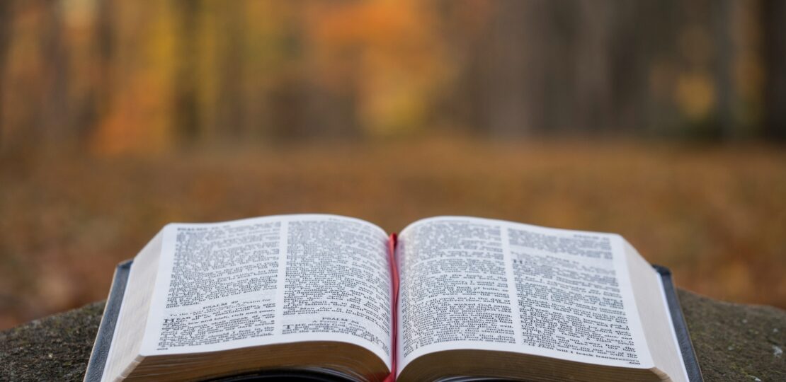 Bible